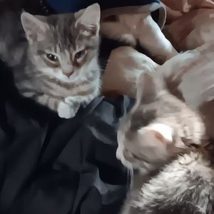 Meet your Posher, Maliesha